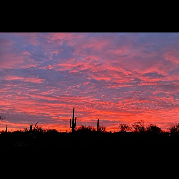 Meet your Posher, Susan - Picture 1 of 1